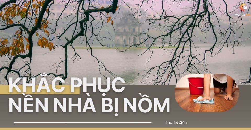 Nền Nhà Nồm Phải Làm Sao? Xem Ngay Giải Pháp Chống Nồm Tối Ưu!